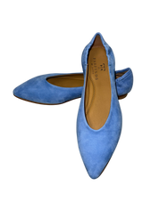Fab Finds By Sarah Suede Pointed Toe Flat