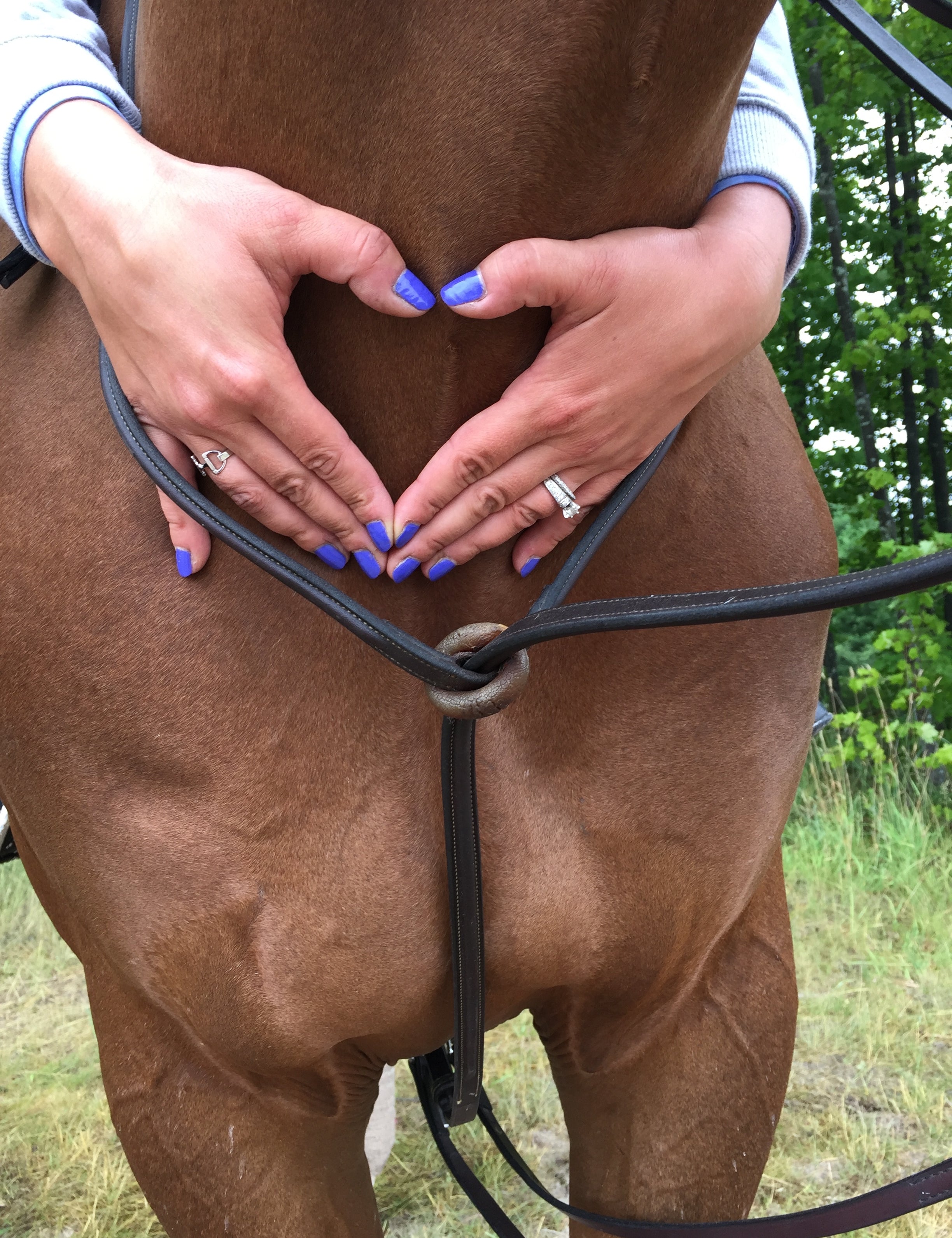 On Location At The Great Lakes Equestrian Festival