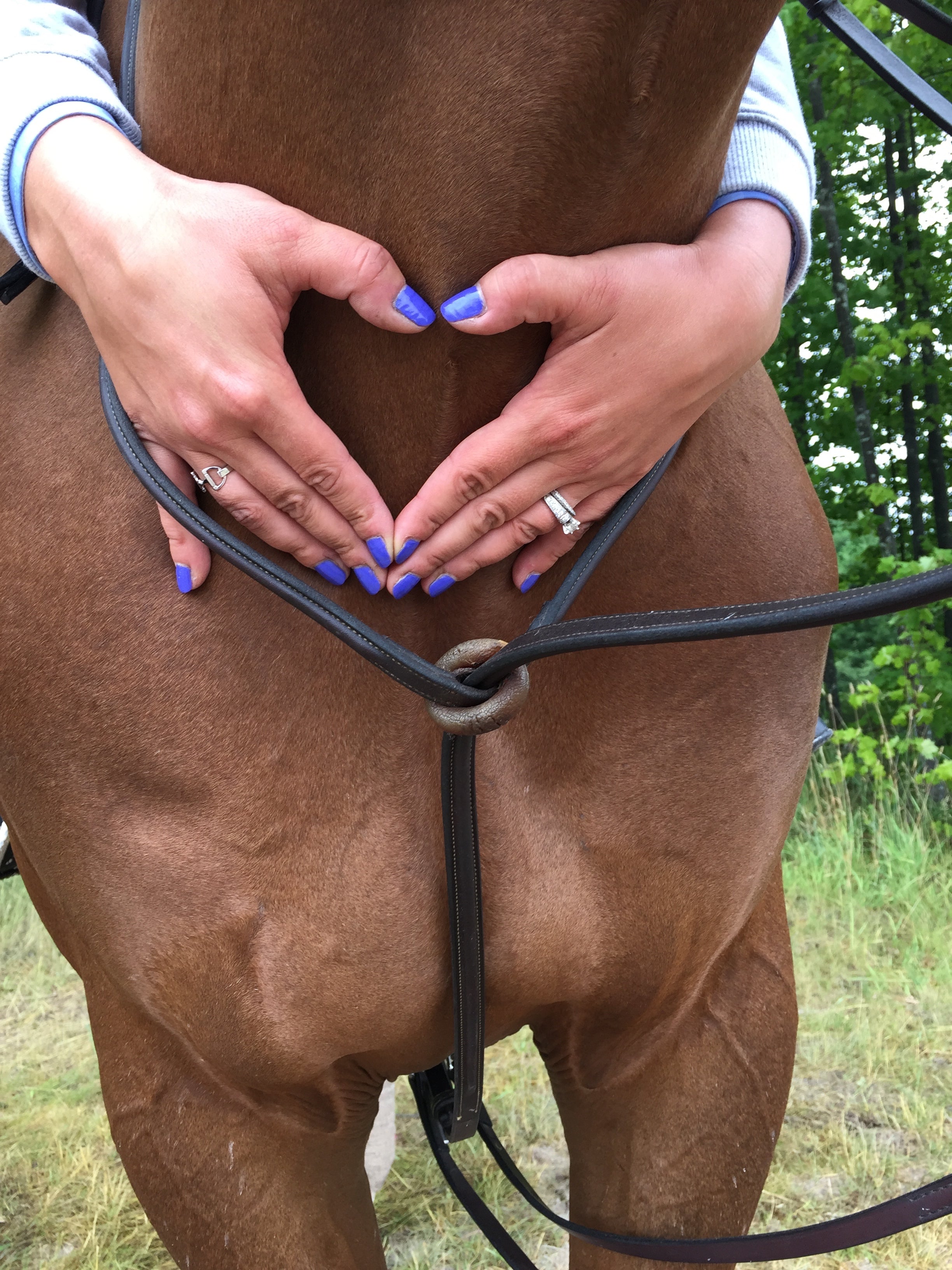 On Location At The Great Lakes Equestrian Festival