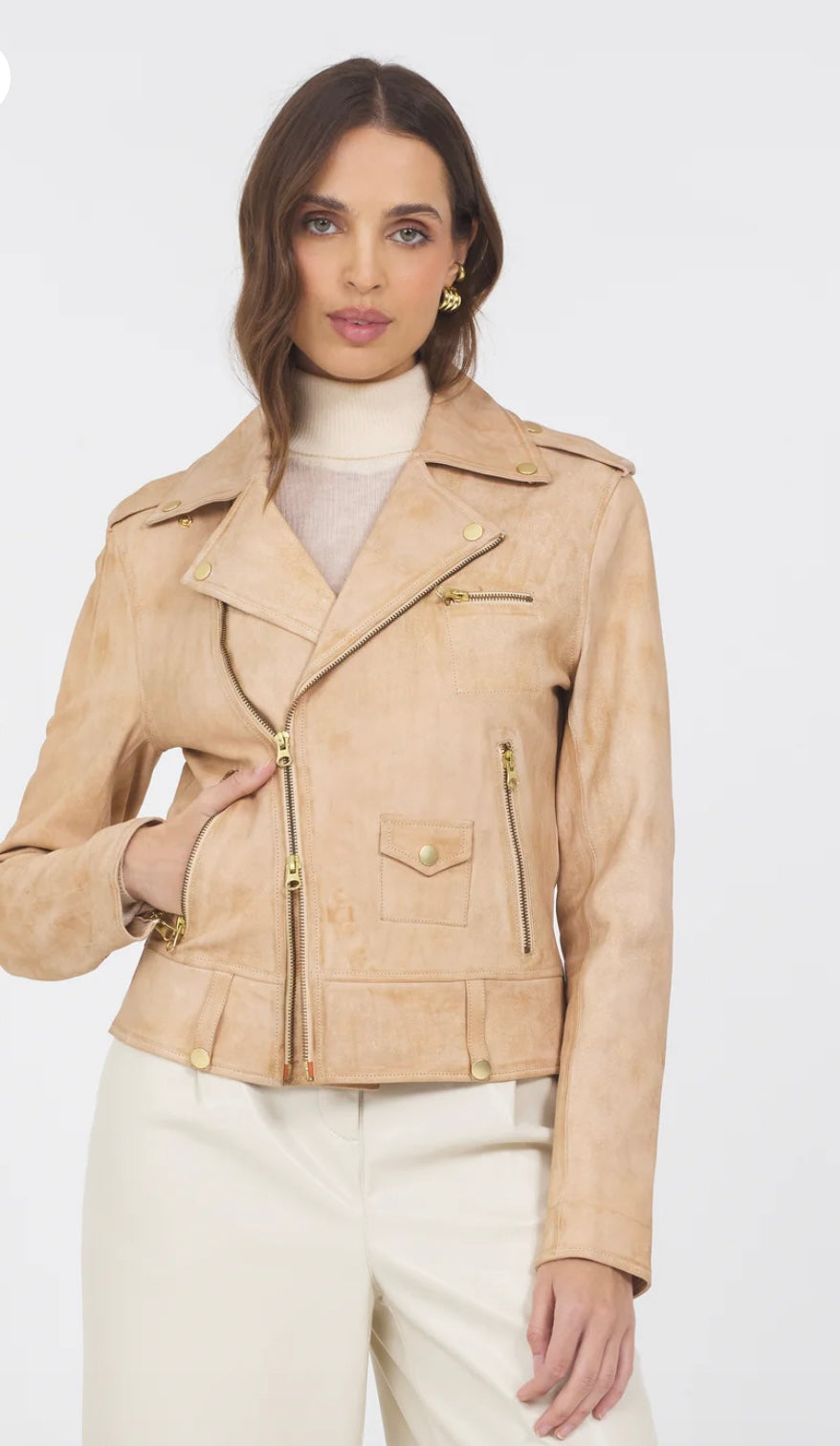 Jakett Tracy Distressed Leather jacket.