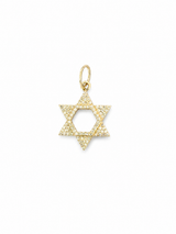 14KT Gold Diamond Star of David Charm