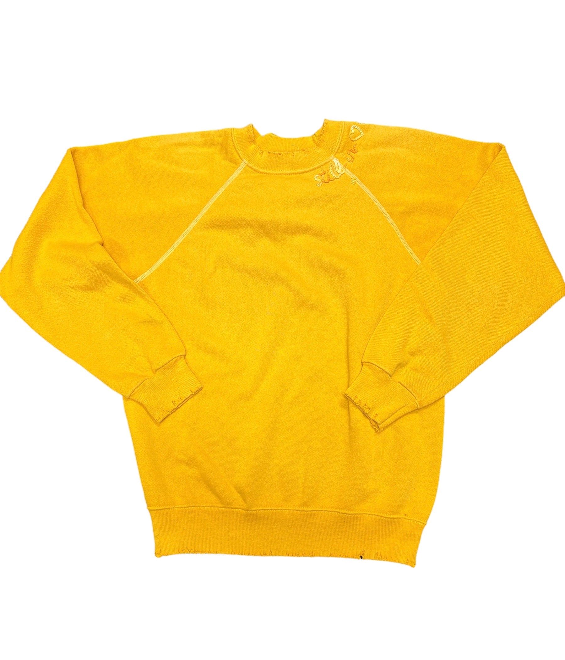 ISMBS Pullover