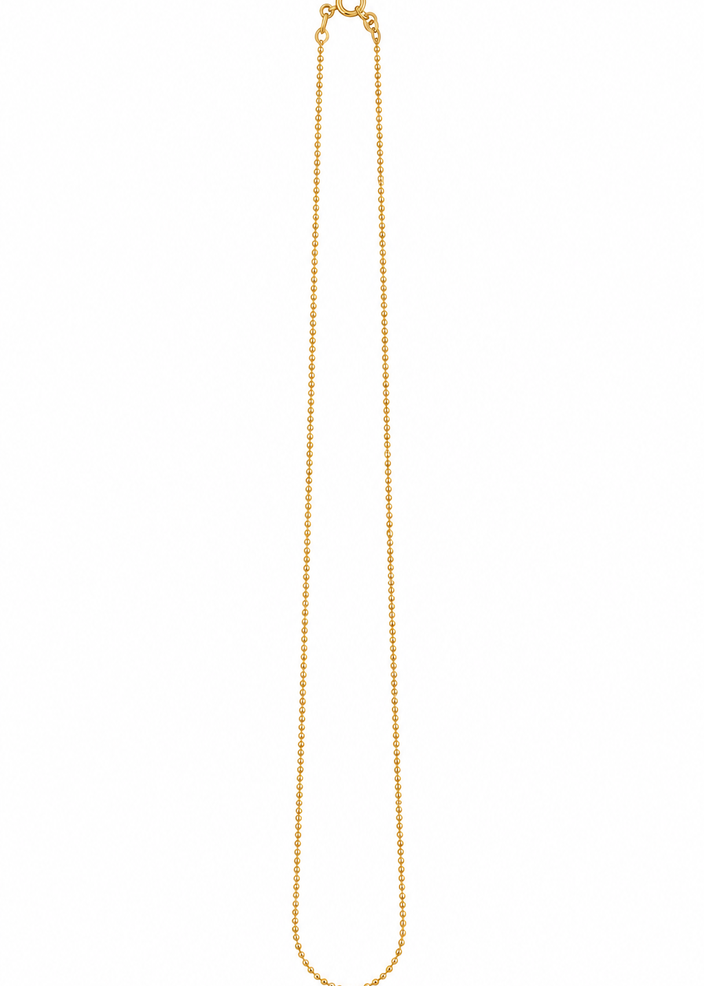 IMG-1463.png