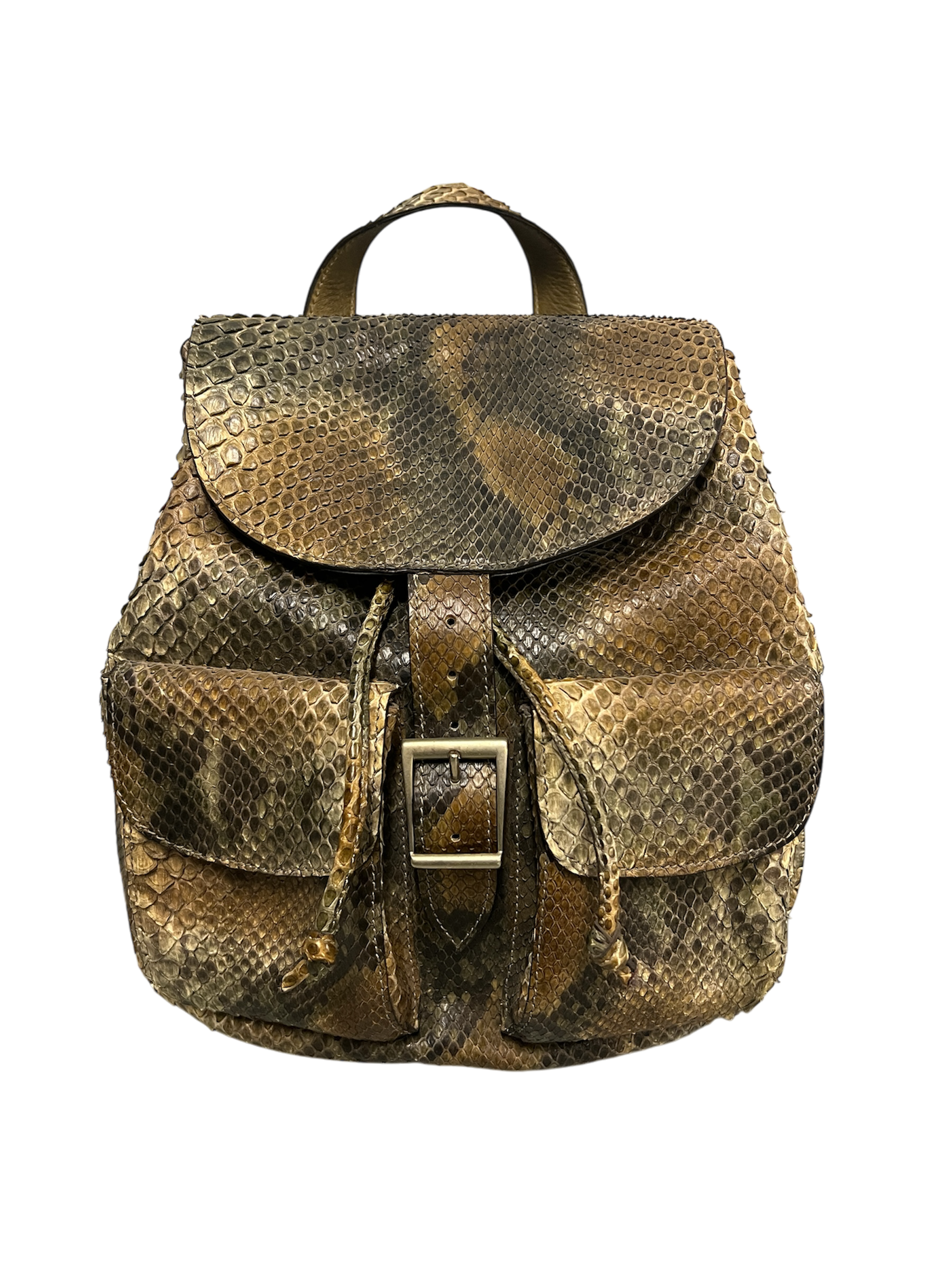 Fab Finds By Sarah Python Two Pocket Backpack