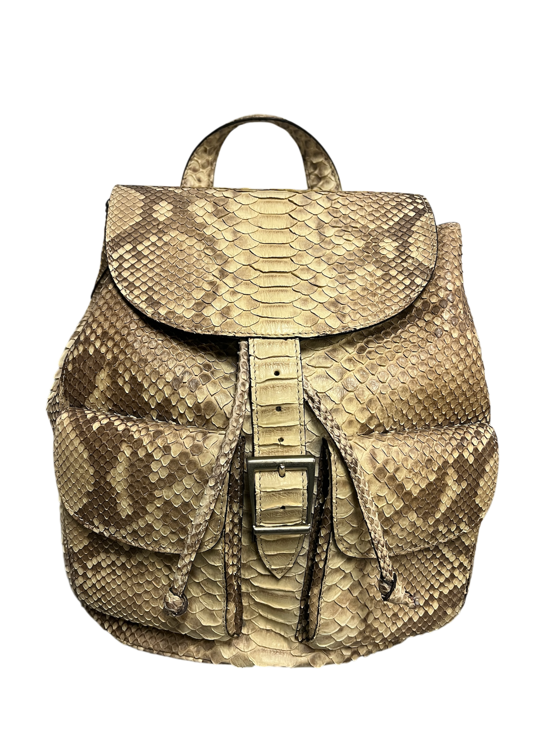 Fab Finds By Sarah Python Two Pocket Backpack