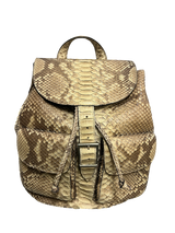 Fab Finds By Sarah Python Two Pocket Backpack