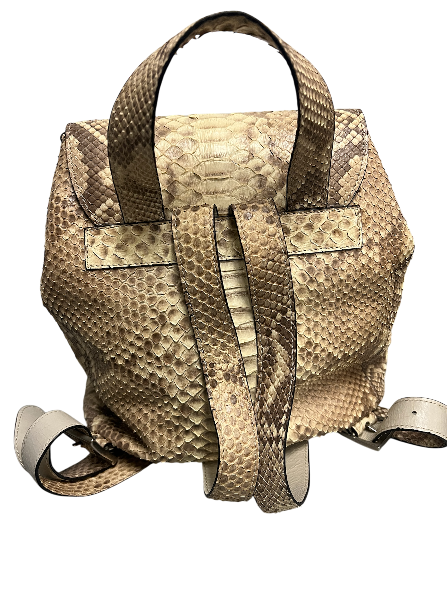 Fab Finds By Sarah Python Two Pocket Backpack