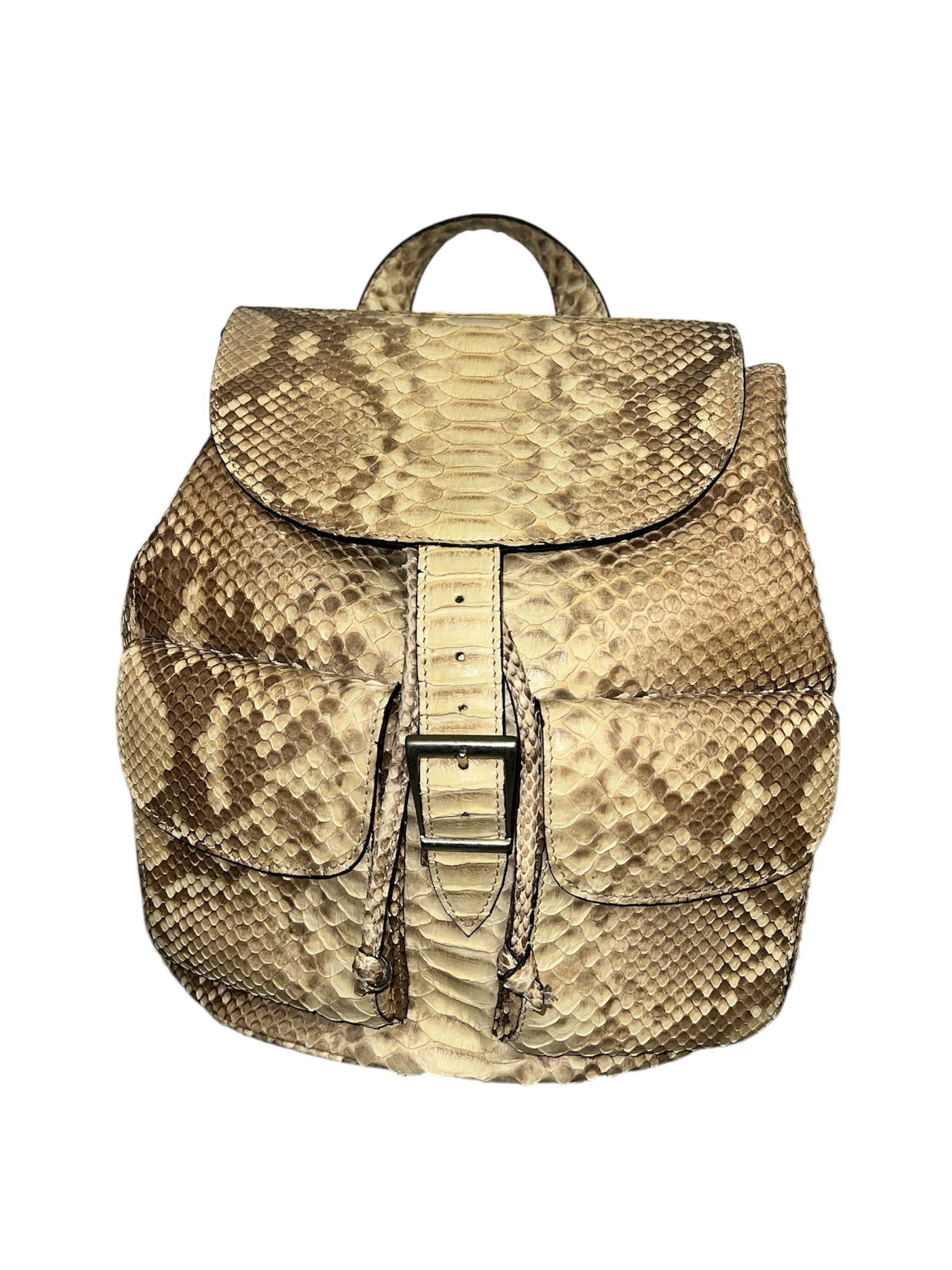 Fab Finds By Sarah Python Two Pocket Backpack