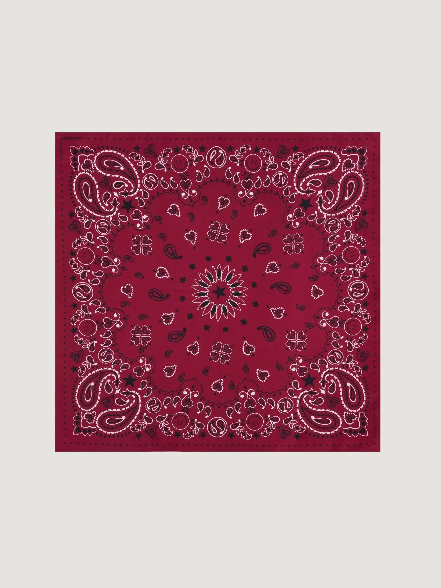 Call It By Your Name Small Bandana