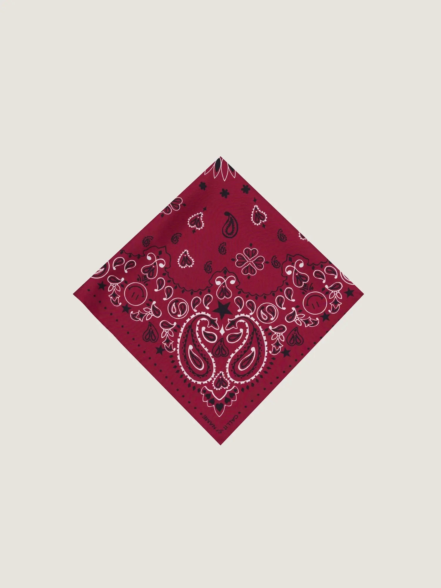 Call It By Your Name Small Bandana