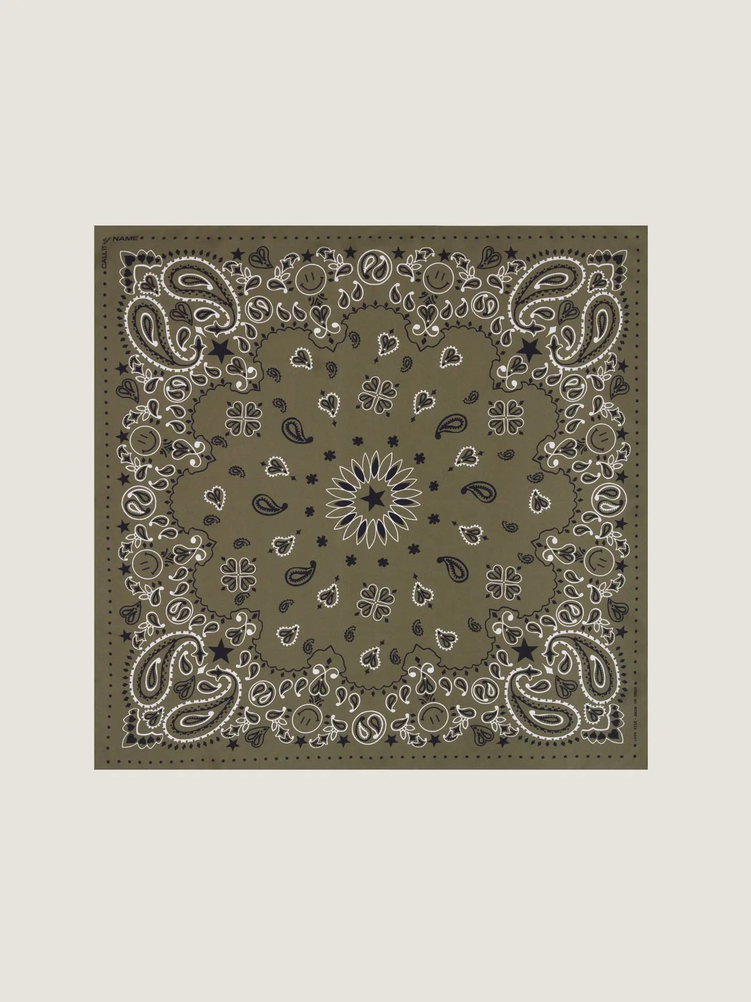 Call It By Your Name Small Bandana