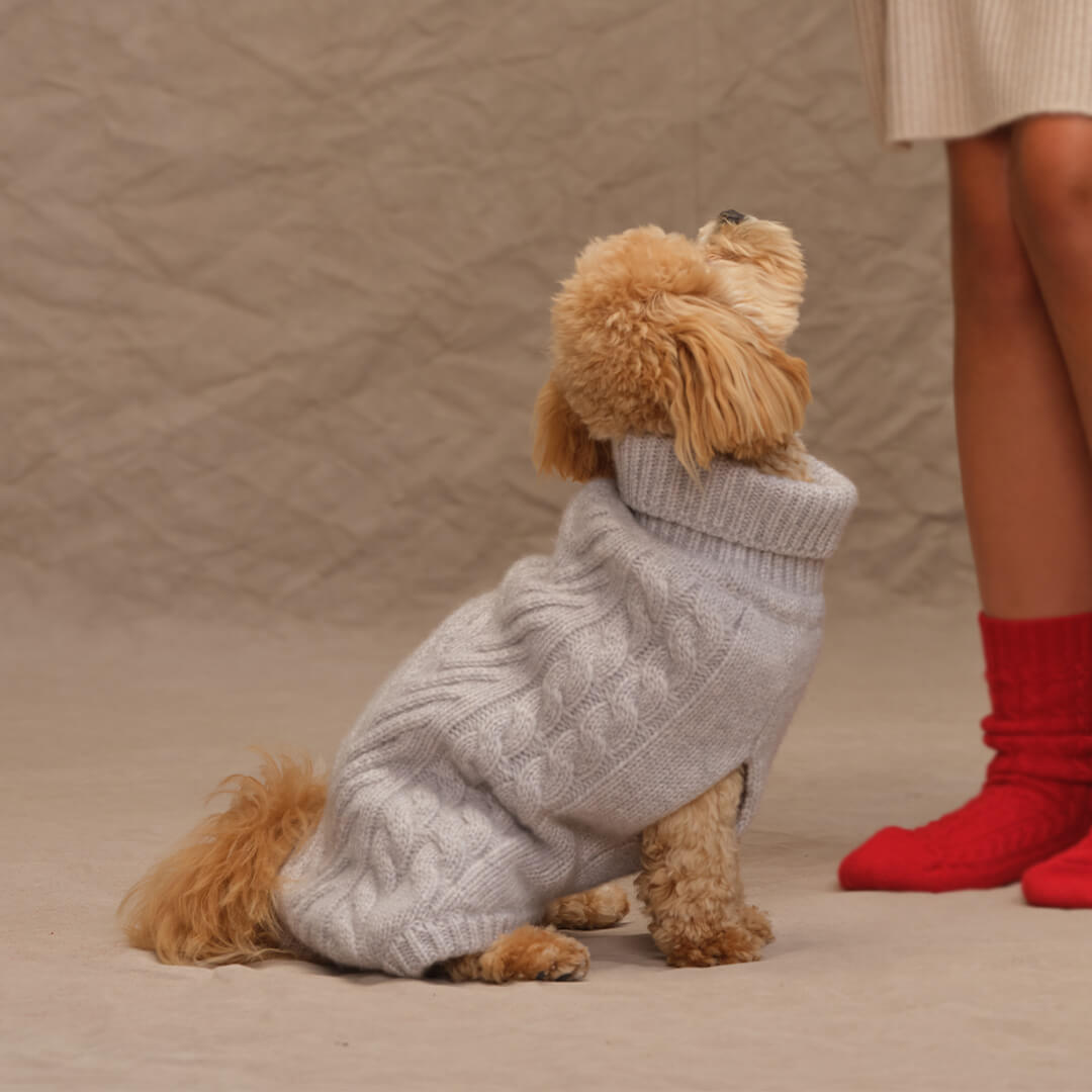 Cashmere Project Doggie Sweater