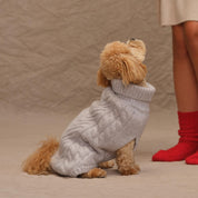 Cashmere Project Doggie Sweater