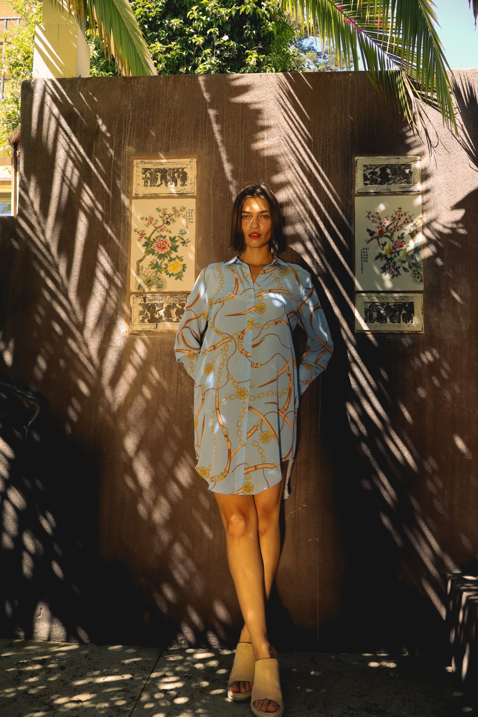 Catherine Gee San Telmo Shirt Dress