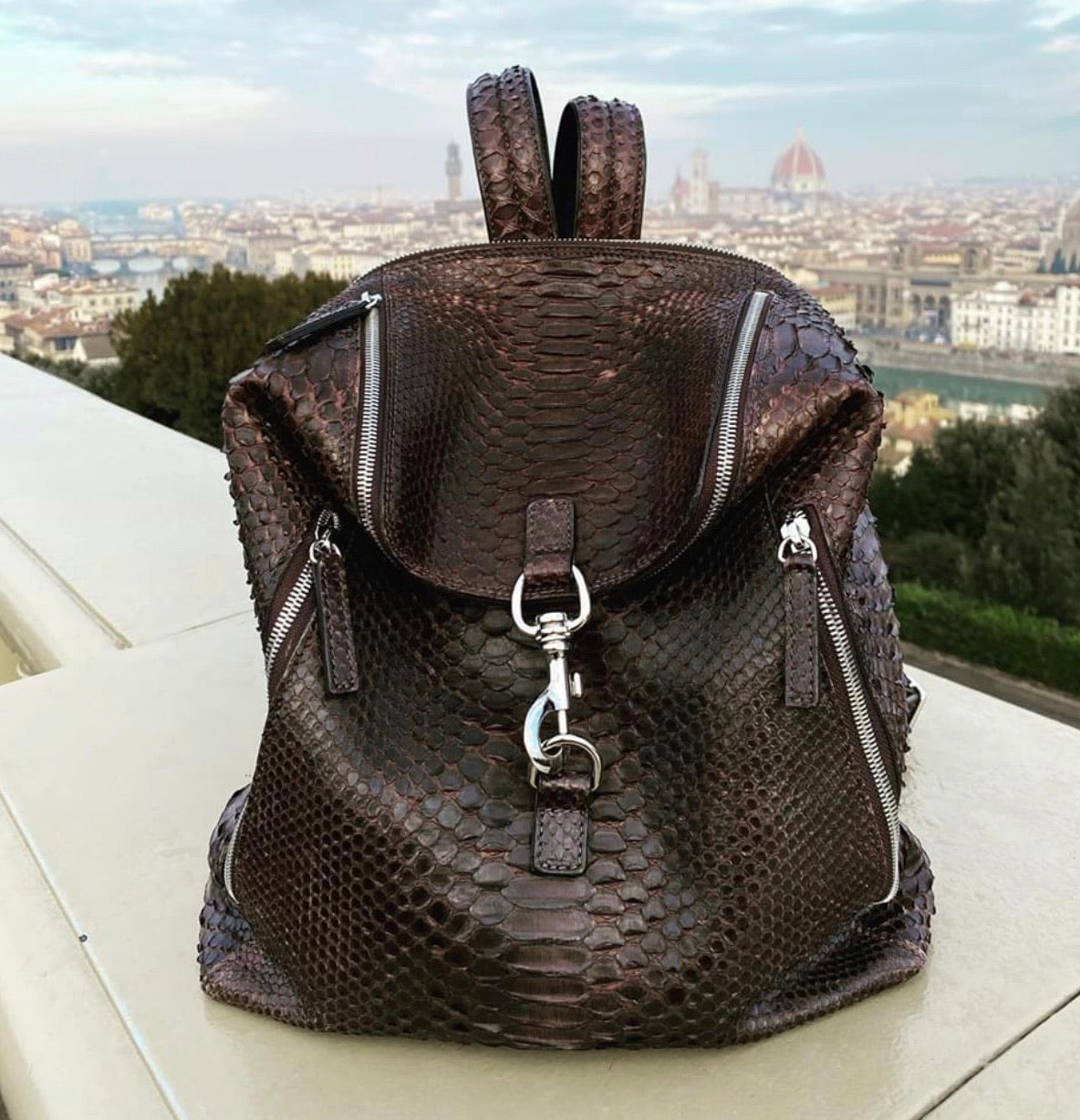 BRERA, Bags, Brera Vbh Italian Python Leather Bag